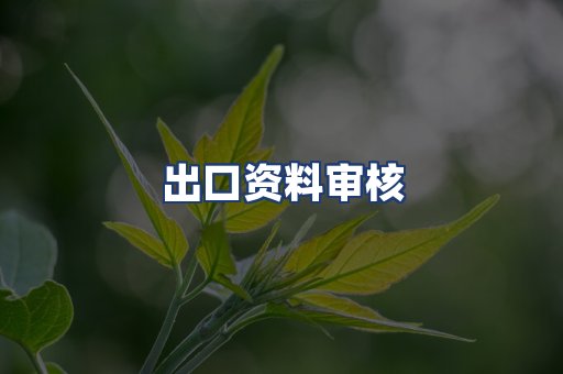 出口资料审核