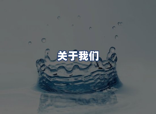 关于我们
